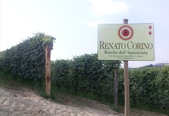 Vigneto Rocche dell'Annunziata